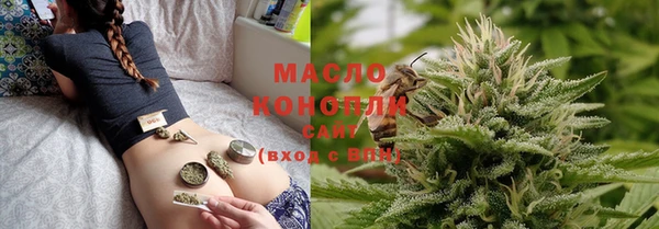 гидра Богданович