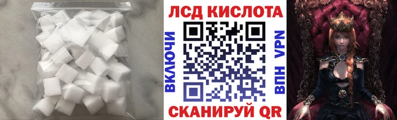 kraken вход  как найти закладки  Армавир  LSD-25 экстази кислота 
